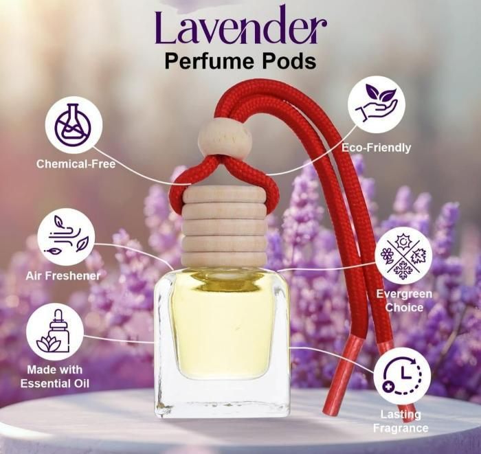 Hanging Car Perfume Pods Diffuser Scent (Assorted Perfume)