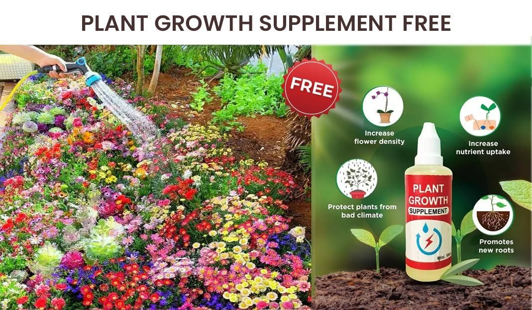 Flower Seeds Variety Pack (100 Seeds) + Free Plant Growth Supplement – Diverse Blooms for Vibrant Gardens