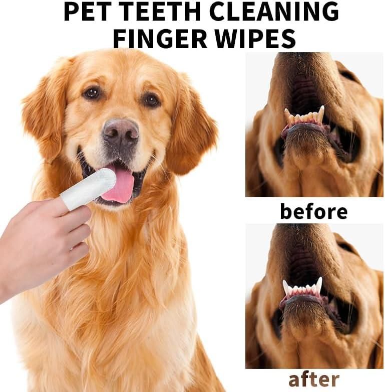50 Pcs Pet Wet Wipes – Disposable Dog Finger Toothbrush & Cat Teeth Cleaning Wipes for Oral Health Care