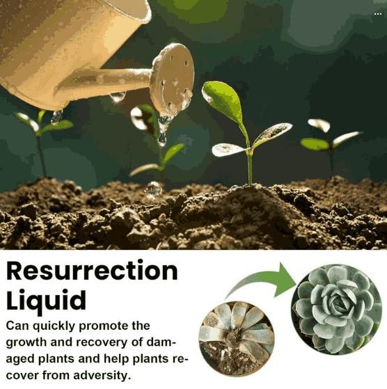Plant Resurrection Liquid Fertilizer (50ml) – Pack of 3 Nutrient Solutions for Healthy Plant Growth