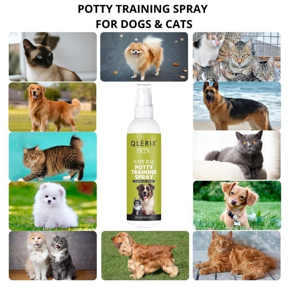 Natural Potty Training Spray for Dogs & Cats (100ml, Pack of 1) – Behavior Aid for Indoor & Outdoor Use