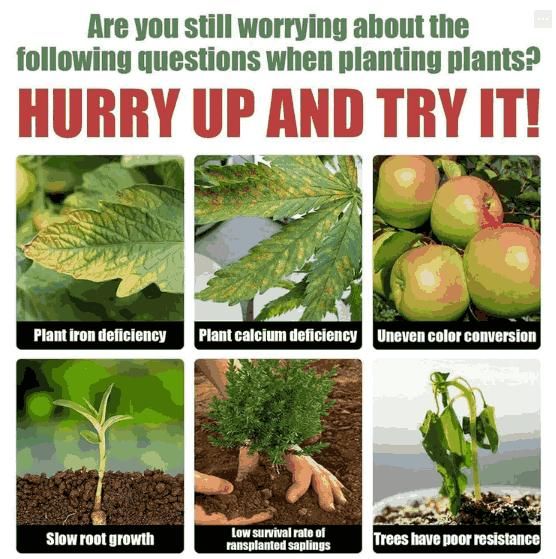 Plant Resurrection Liquid Fertilizer (50ml) – Pack of 3 Nutrient Solutions for Healthy Plant Growth
