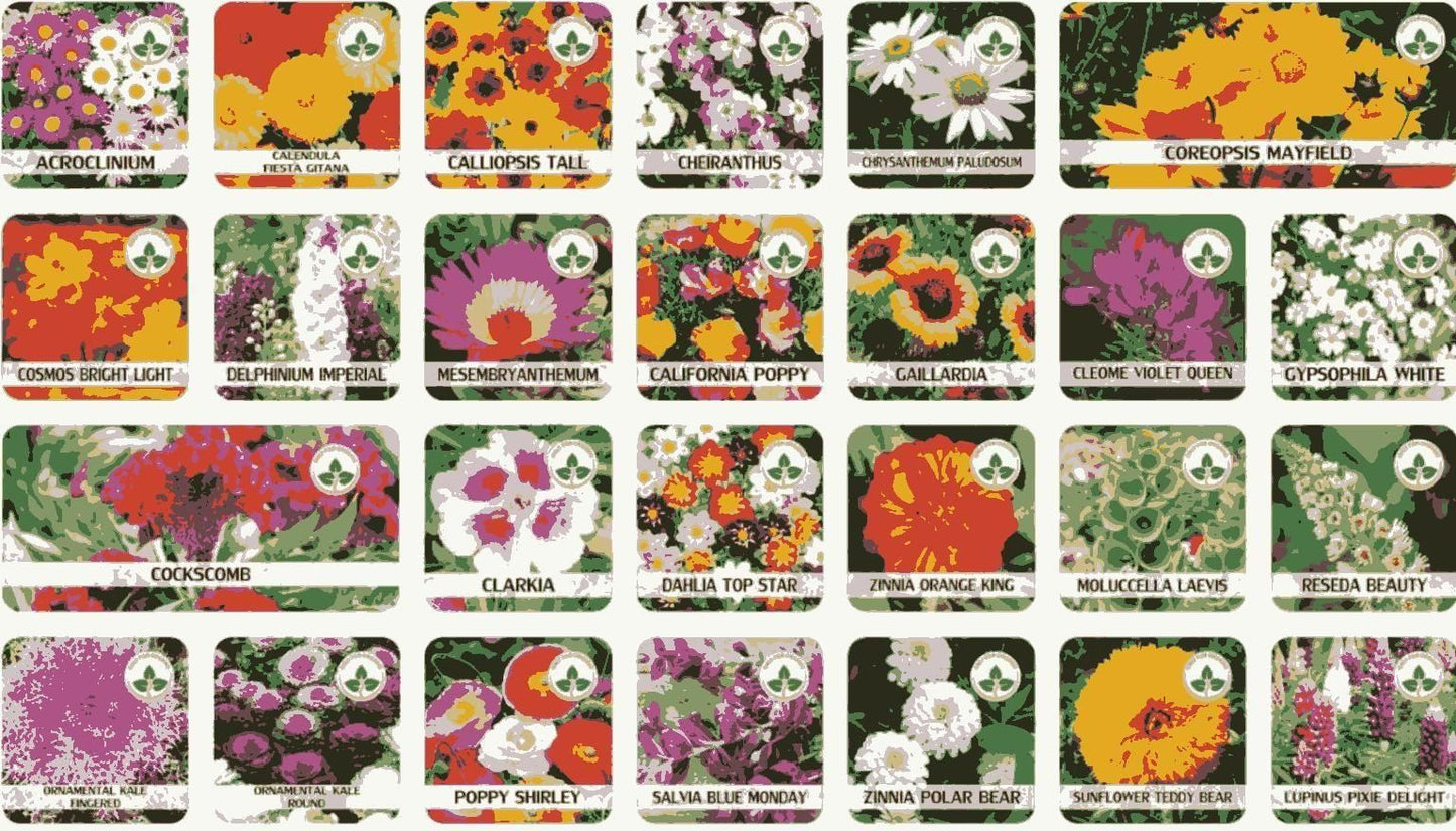 Flower Seeds Variety Pack (100 Seeds) + Free Plant Growth Supplement – Diverse Blooms for Vibrant Gardens