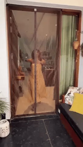 Magnetic Anti-Mosquito Door Curtains (Pack of 1) – Hands-Free Mesh Screen with Auto-Close for Insect Protection
