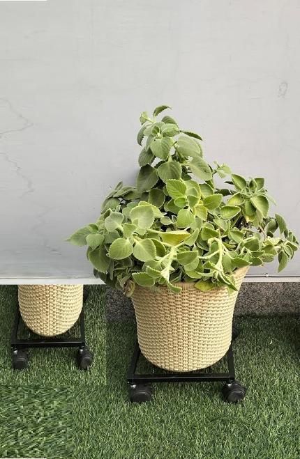 Virtumart Wheel Pot Stand For Planters