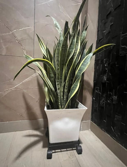 Virtumart Wheel Pot Stand For Planters